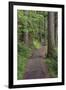 Paved pathway through forest, Columbia River Gorge, Oregon-Adam Jones-Framed Photographic Print