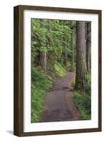 Paved pathway through forest, Columbia River Gorge, Oregon-Adam Jones-Framed Photographic Print