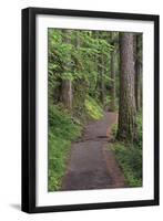 Paved pathway through forest, Columbia River Gorge, Oregon-Adam Jones-Framed Photographic Print