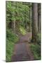 Paved pathway through forest, Columbia River Gorge, Oregon-Adam Jones-Mounted Photographic Print