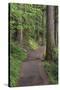 Paved pathway through forest, Columbia River Gorge, Oregon-Adam Jones-Stretched Canvas