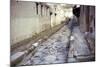 Paved Street in the Roman Town of Herculaneum, Italy-CM Dixon-Mounted Photographic Print