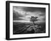 Pavement and Tree I-Martin Henson-Framed Art Print