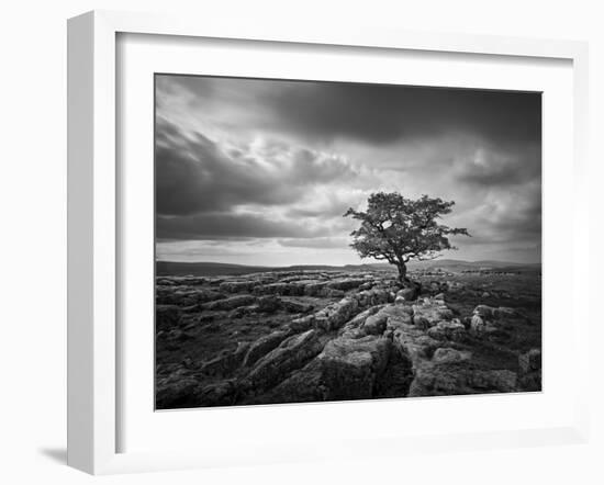 Pavement and Tree I-Martin Henson-Framed Art Print