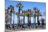 Pavement Cafe and Coffee Bar under Palm Trees-James Emmerson-Mounted Photographic Print