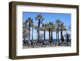 Pavement Cafe and Coffee Bar under Palm Trees-James Emmerson-Framed Photographic Print