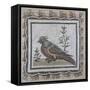 Pavement Depicting a Pheasant-null-Framed Stretched Canvas