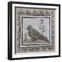 Pavement Depicting a Pheasant-null-Framed Giclee Print