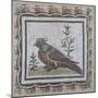 Pavement Depicting a Pheasant-null-Mounted Giclee Print