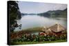 Pavilion and Flowers at a Viewpoint Overlooking Lake Bunyonyi, Uganda, East Africa, Africa-Michael-Stretched Canvas