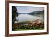 Pavilion and Flowers at a Viewpoint Overlooking Lake Bunyonyi, Uganda, East Africa, Africa-Michael-Framed Photographic Print