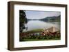 Pavilion and Flowers at a Viewpoint Overlooking Lake Bunyonyi, Uganda, East Africa, Africa-Michael-Framed Photographic Print