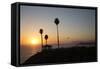 Pavilion and Palm Trees Looking Out to Sea at Sunset-Stuart-Framed Stretched Canvas