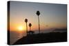 Pavilion and Palm Trees Looking Out to Sea at Sunset-Stuart-Stretched Canvas