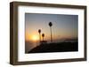 Pavilion and Palm Trees Looking Out to Sea at Sunset-Stuart-Framed Photographic Print
