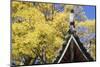 Pavilion at Wen Chang Palace, Lijiang (UNESCO World Heritage Site), Yunnan, China-Ian Trower-Mounted Photographic Print