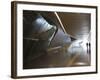 Pavilion Bridge, Zaragoza, Spain-Walter Bibikow-Framed Photographic Print