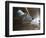 Pavilion Bridge, Zaragoza, Spain-Walter Bibikow-Framed Photographic Print