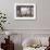 Pavilion Gardens Mandarin-Thomas Allom-Framed Premium Giclee Print displayed on a wall
