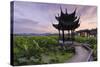 Pavilion, Lotus Field and Zig Zag Bridge at West Lake, Hangzhou, Zhejiang, China, Asia-Andreas Brandl-Stretched Canvas