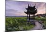 Pavilion, Lotus Field and Zig Zag Bridge at West Lake, Hangzhou, Zhejiang, China, Asia-Andreas Brandl-Mounted Photographic Print