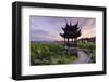 Pavilion, Lotus Field and Zig Zag Bridge at West Lake, Hangzhou, Zhejiang, China, Asia-Andreas Brandl-Framed Premium Photographic Print