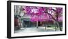 Pavilion with Trees Blooming-George Oze-Framed Photographic Print