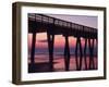 Pavillion and Pier, Tybee Island, Georgia, USA-Joanne Wells-Framed Photographic Print