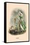 Pavot-J.J. Grandville-Framed Stretched Canvas