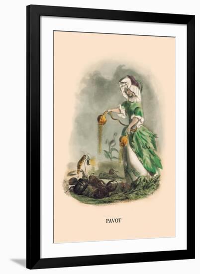 Pavot-J.J. Grandville-Framed Art Print