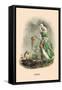 Pavot-J.J. Grandville-Framed Stretched Canvas