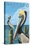 Pawleys Island, South Carolina - Pelicans-Lantern Press-Stretched Canvas
