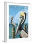 Pawleys Island, South Carolina - Pelicans-Lantern Press-Framed Art Print
