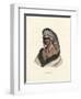 Pawnee Brave-McKenney & Hall-Framed Art Print