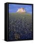 Pawnee Butte, Pawnee National Grassland, Colorado, United States of America, North America-James Hager-Framed Stretched Canvas