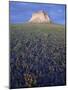 Pawnee Butte, Pawnee National Grassland, Colorado, United States of America, North America-James Hager-Mounted Photographic Print