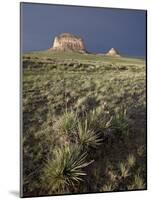 Pawnee Buttes, Pawnee National Grassland, Colorado, United States of America, North America-James Hager-Mounted Photographic Print