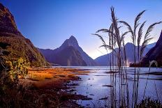 Milford Sound at Dawn-pawopa3336-Framed Photographic Print