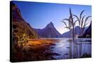 Stretched Canvas