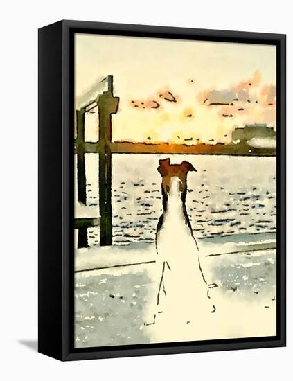 Paws At Sunset-Acosta-Framed Stretched Canvas