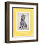 Paws Delaney-Rachael Hale-Framed Art Print