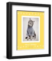 Paws Delaney-Rachael Hale-Framed Art Print