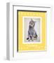 Paws Delaney-Rachael Hale-Framed Art Print