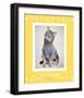 Paws Delaney-Rachael Hale-Framed Premium Giclee Print