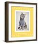 Paws Delaney-Rachael Hale-Framed Premium Giclee Print