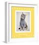 Paws Delaney-Rachael Hale-Framed Premium Giclee Print