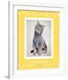 Paws Delaney-Rachael Hale-Framed Premium Giclee Print