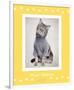 Paws Delaney-Rachael Hale-Framed Premium Giclee Print