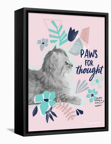 Paws for Thought-Rachael Hale-Framed Stretched Canvas