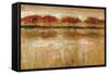 Paxton Cove-Jack Roth-Framed Stretched Canvas